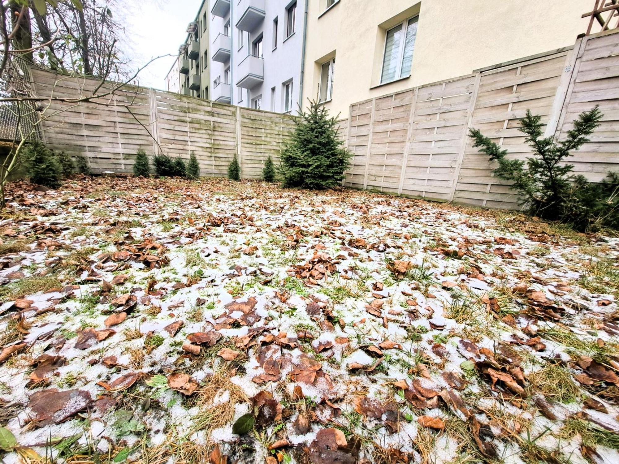 Apartament Z Ogrodem W Sercu Torunia מראה חיצוני תמונה
